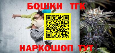 крисы Дубна