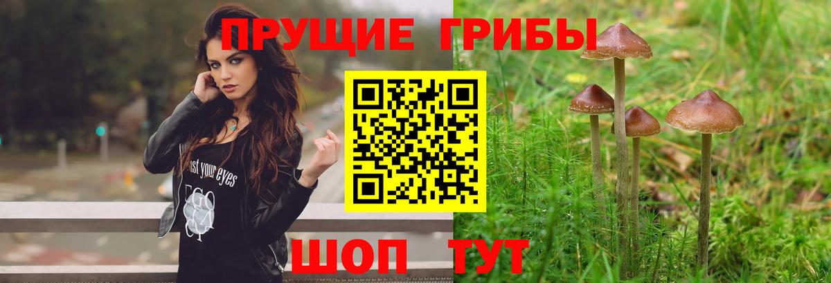 Кунгур  Галлюциногенные грибы мицелий  Галлюциногенные грибы прущие грибы  Вход с VPN 